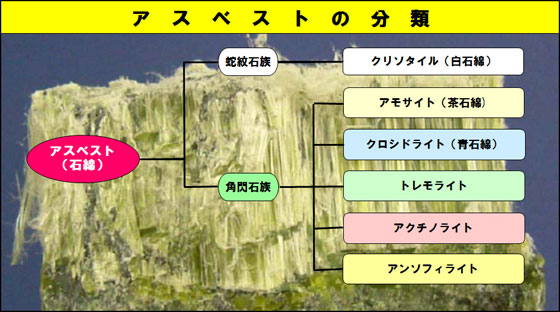 アスベストの分類 蛇鮫石族：クリソタイル(白石綿) 角閃石族 アモサイト(茶石綿),クロシドライト(青石綿),トレモライト,アクチノライト,アンソフィライト